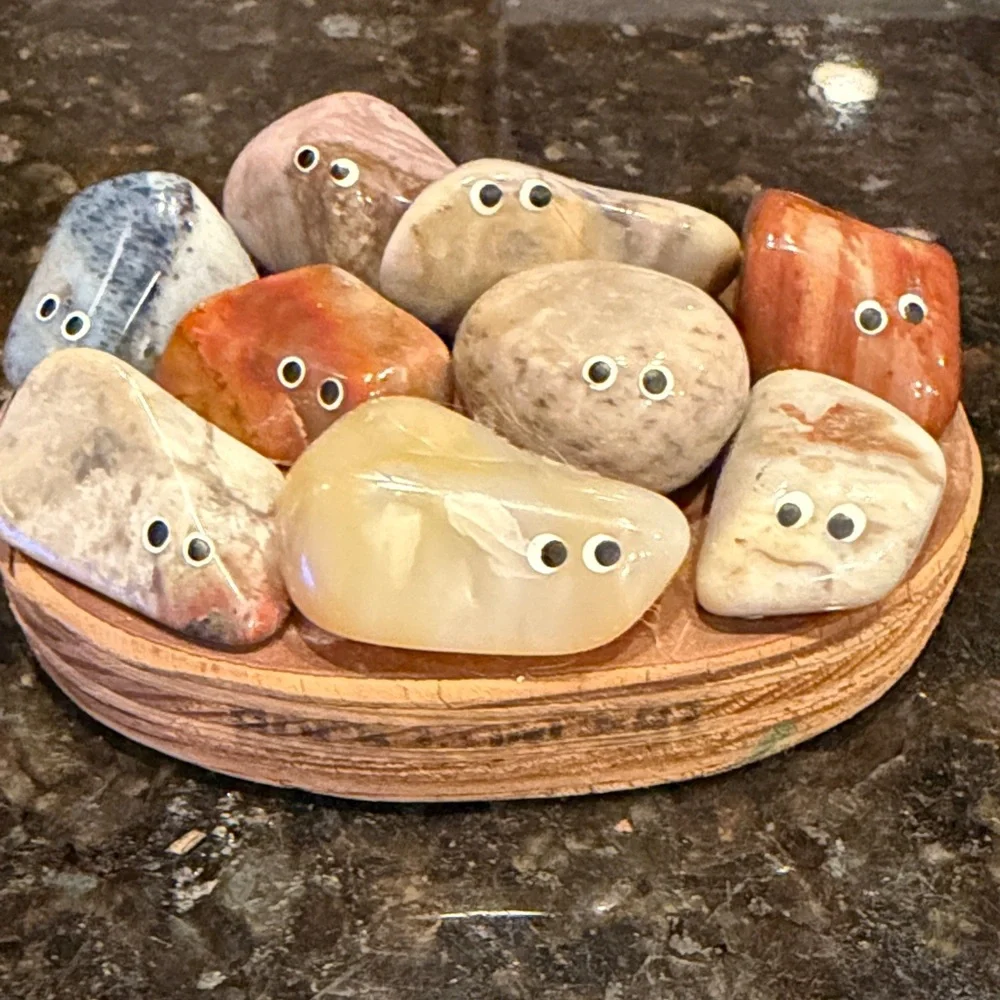 Googly Eye Polished Gemstone Rocks - Assorted Natural Colors on Wooden Base